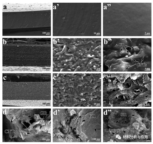 河南科技大学《ACS AMI》：基于多孔聚二甲基硅氧烷与碳纳米管和石墨烯混合的可穿戴应变传感器