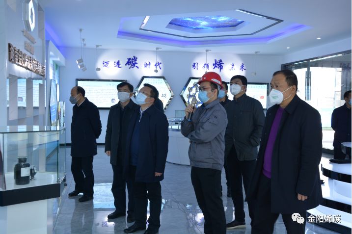长沙市副市长陈澎莅临湖南金阳烯碳新材料有限公司调研复工复产情况