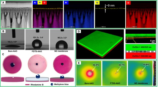 KAUST赖志平教授团队《AM》：迄今为止最高通量的纳米多孔石墨烯膜！用于持续海水淡化
