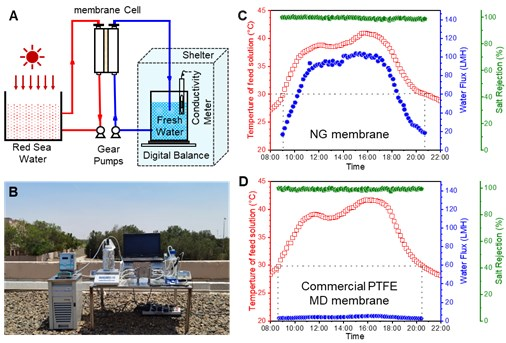KAUST赖志平教授团队《AM》：迄今为止最高通量的纳米多孔石墨烯膜！用于持续海水淡化