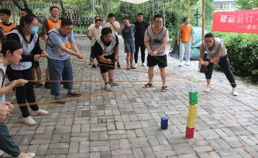 第六元素研发中心｜熔炼团队 共赢未来