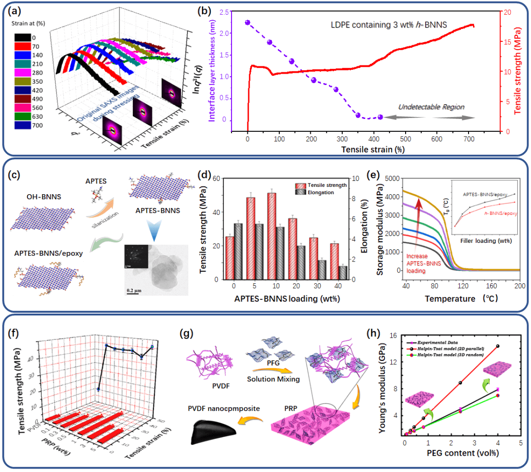 陕西科技大学《Prog. Polym. Sci.》：新型聚合物/二维纳米片复合材料多功能应用进展