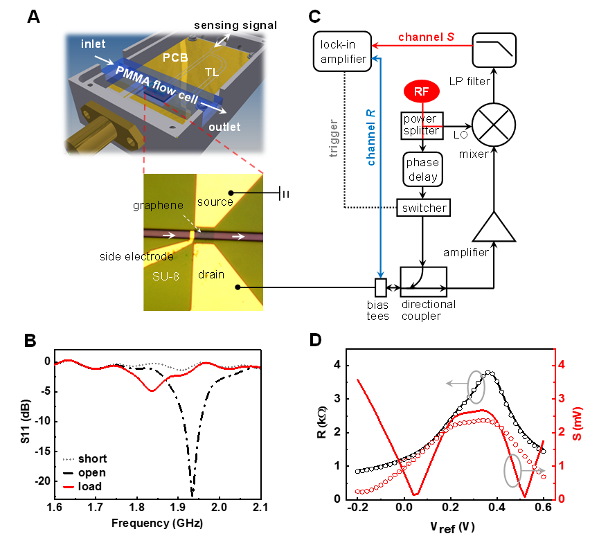 清华大学符汪洋团队《AM》：基于石墨烯的超高频介电生物传感器