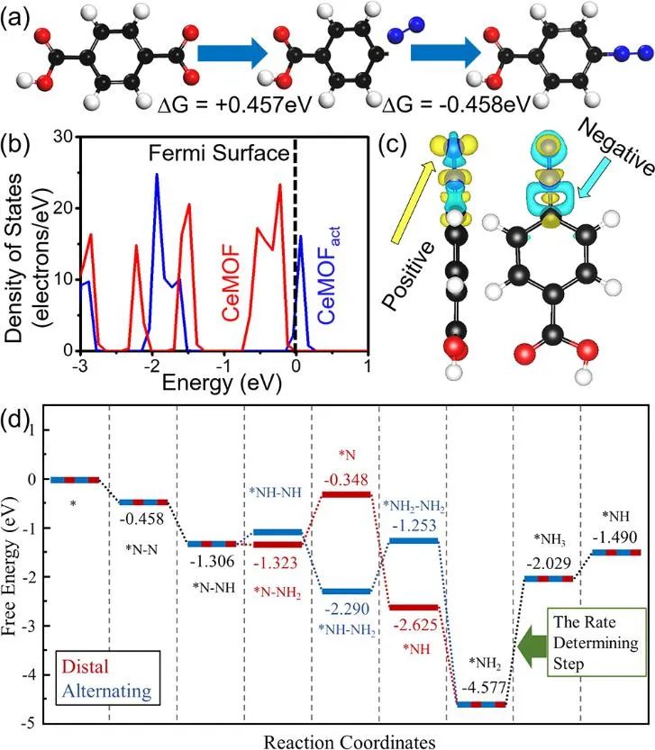 扬州大学庞欢/王天奕Angew：石墨烯CeMOF复合物光催化固氮助力农业应用