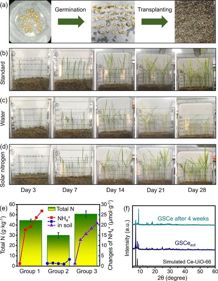 扬州大学庞欢/王天奕Angew：石墨烯CeMOF复合物光催化固氮助力农业应用