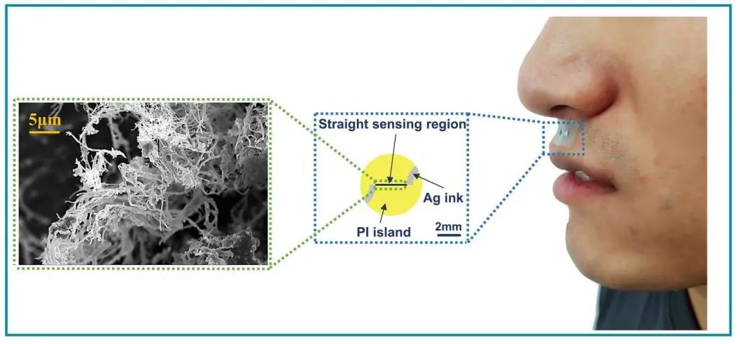 研究人员开发了基于激光诱导石墨烯的防潮、可拉伸 NOx 气体传感器