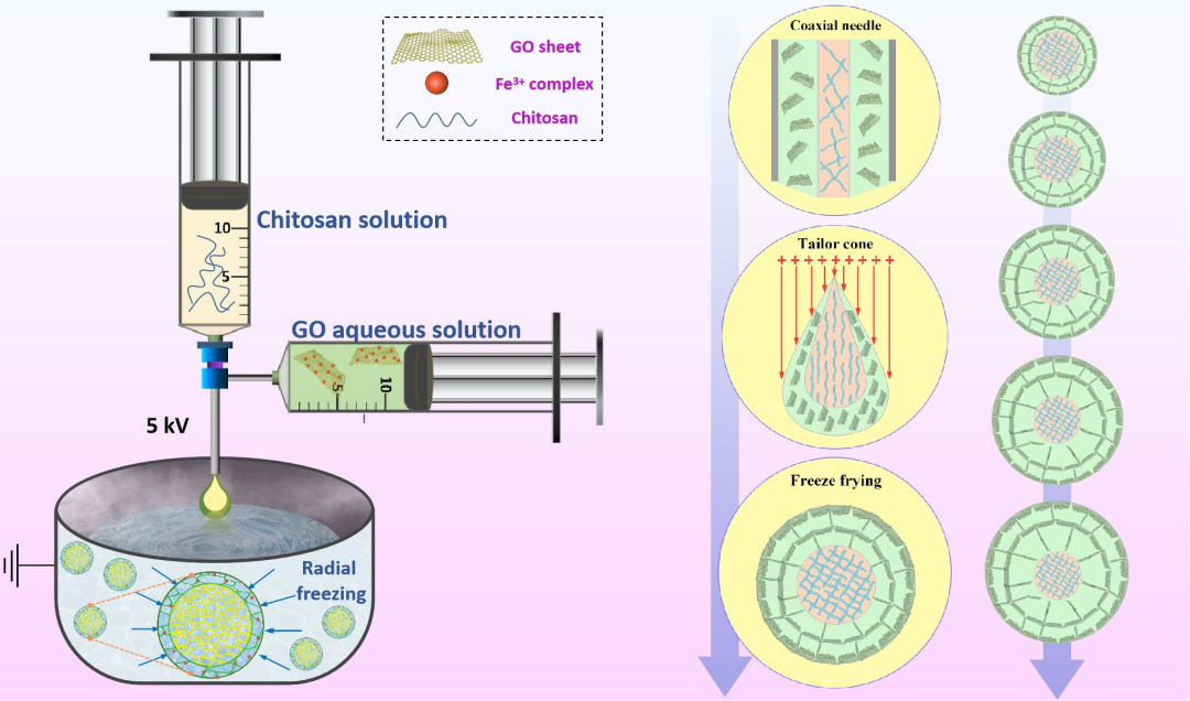 西南交大孟凡彬团队 CEJ ：通过谐振腔共振损耗和次序衰减策略实现核壳异质石墨烯基气凝胶微球宽频高效微波吸收