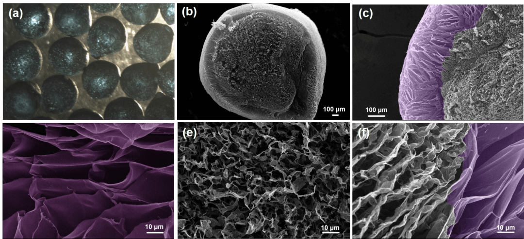 西南交大孟凡彬团队 CEJ ：通过谐振腔共振损耗和次序衰减策略实现核壳异质石墨烯基气凝胶微球宽频高效微波吸收