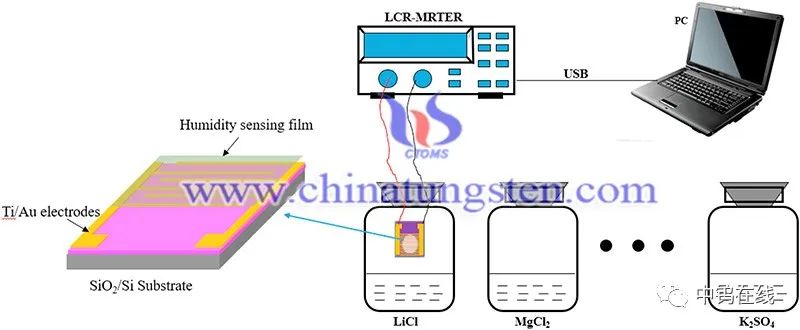 钨钼时事|二硫化钼与石墨烯复合材料实现高灵敏度湿度传感器