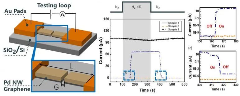 中物院材料所唐涛研究员团队《ACS AMI》：石墨烯助力非连续钯传感器突破衬底束缚