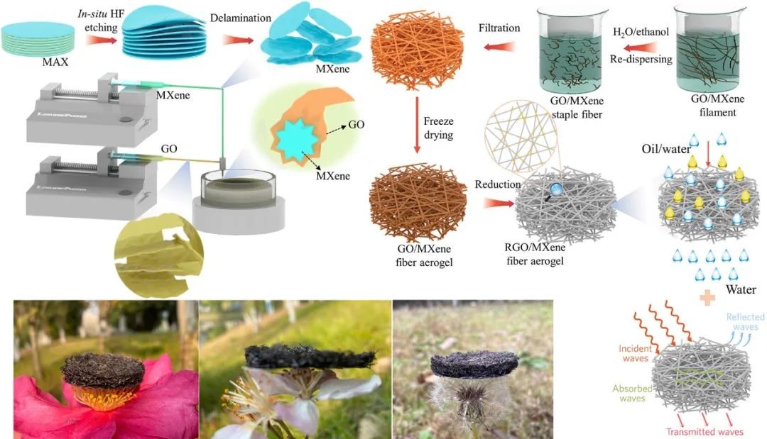 安徽工程大学郑贤宏副教授JCIS：皮芯型异质结构石墨烯/MXene纤维气凝胶用于持久高效电磁屏蔽和高温隔热