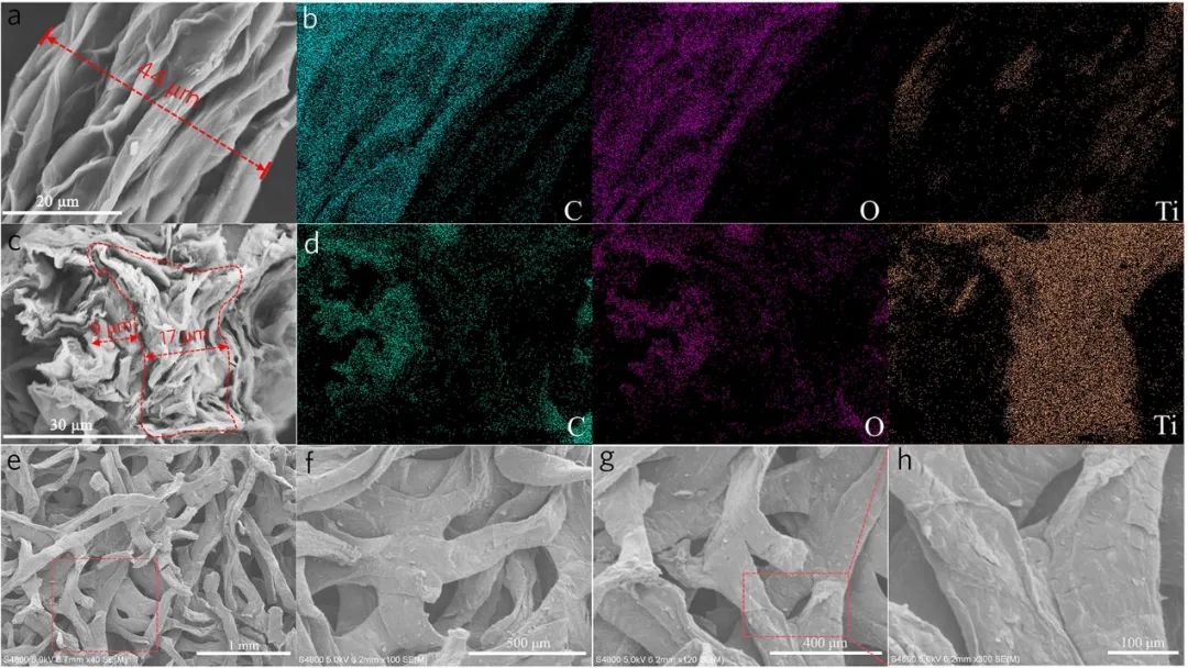 安徽工程大学郑贤宏副教授JCIS：皮芯型异质结构石墨烯/MXene纤维气凝胶用于持久高效电磁屏蔽和高温隔热