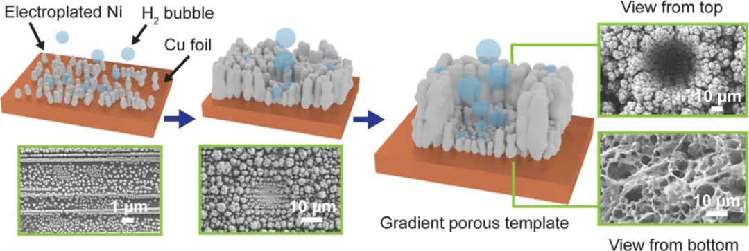 Nano Letters：利用梯度多孔石墨烯作为固体接触层提高可穿戴电化学汗液传感器的灵敏度