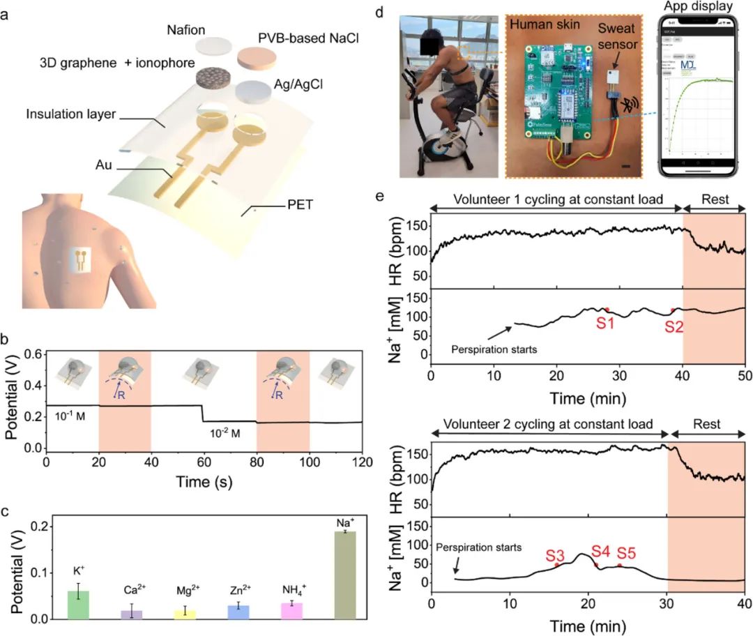 Nano Letters：利用梯度多孔石墨烯作为固体接触层提高可穿戴电化学汗液传感器的灵敏度