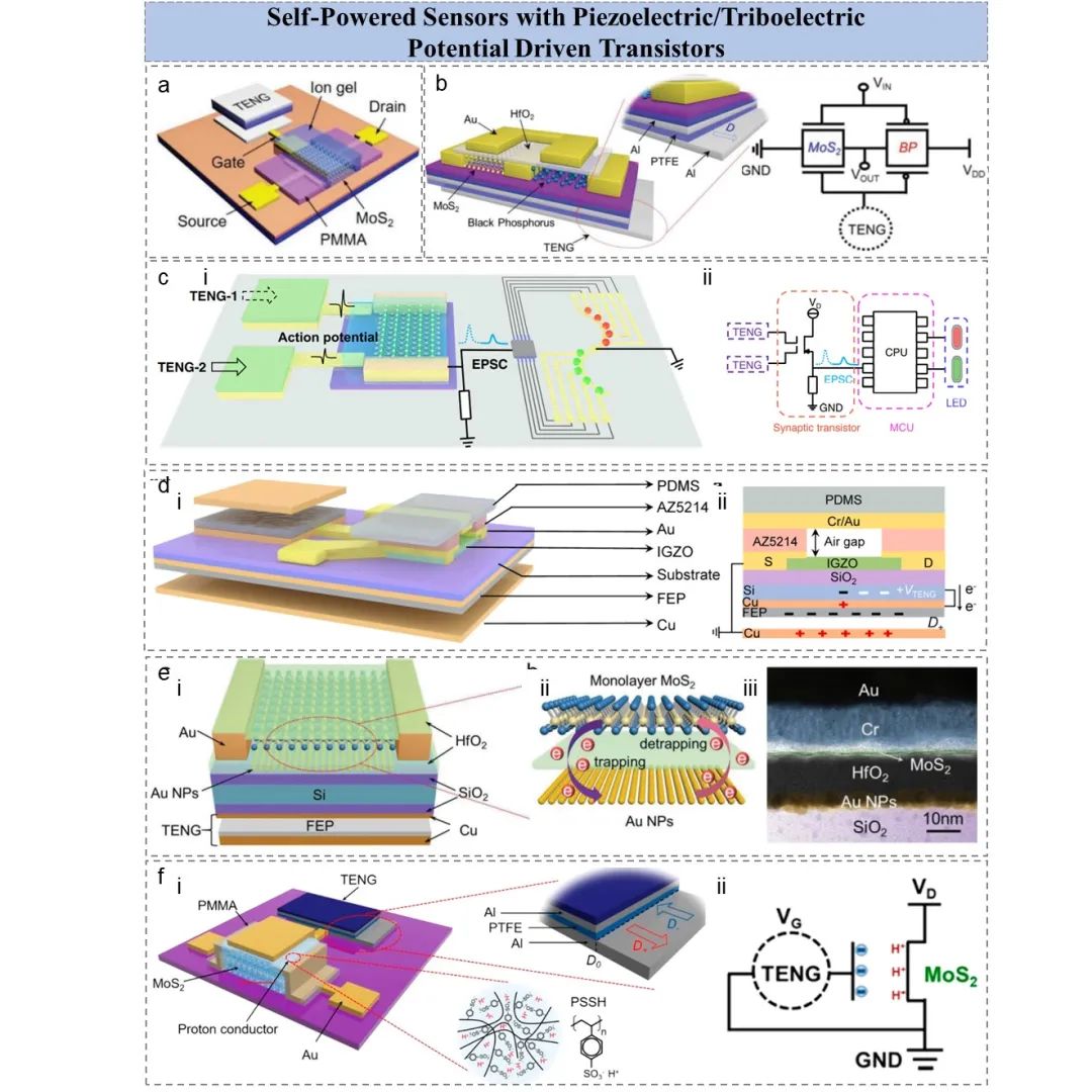 王中林院士/孙其君研究员《AFM》综述：基于二维材料器件的集成式自驱动传感器