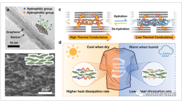 清华大学张莹莹课题组《AFM》:高度可调节导热的石墨烯-丝胶混合物，用于响应纺织品