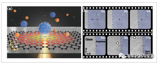 深圳大学《AM》：基于石墨烯的新型光学镊子