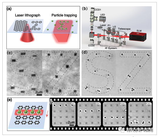 深圳大学《AM》：基于石墨烯的新型光学镊子