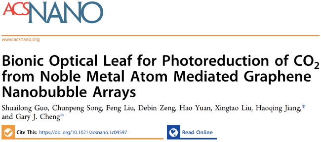 ​武汉大学今日ACS Nano：氮掺杂石墨烯纳米气泡负载贵金属原子，仿生叶片光催化还原CO2！