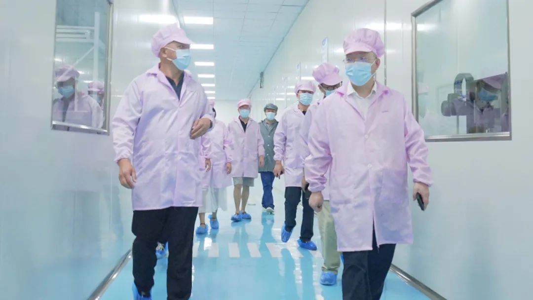 湖南耒阳经济开发区管理委员会副主任郭伟一行莅临高烯科技调研指导!