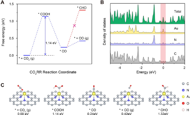 ​武汉大学今日ACS Nano：氮掺杂石墨烯纳米气泡负载贵金属原子，仿生叶片光催化还原CO2！