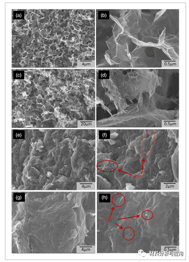 中科院福建物构所《ADV ENG MATER》：高导电性能的多级石墨烯气凝胶聚合物复合材料，用于热疗设备