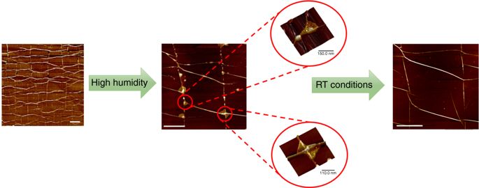 《Nature》子刊：剥落石墨烯中机械变形形成马赛克图案