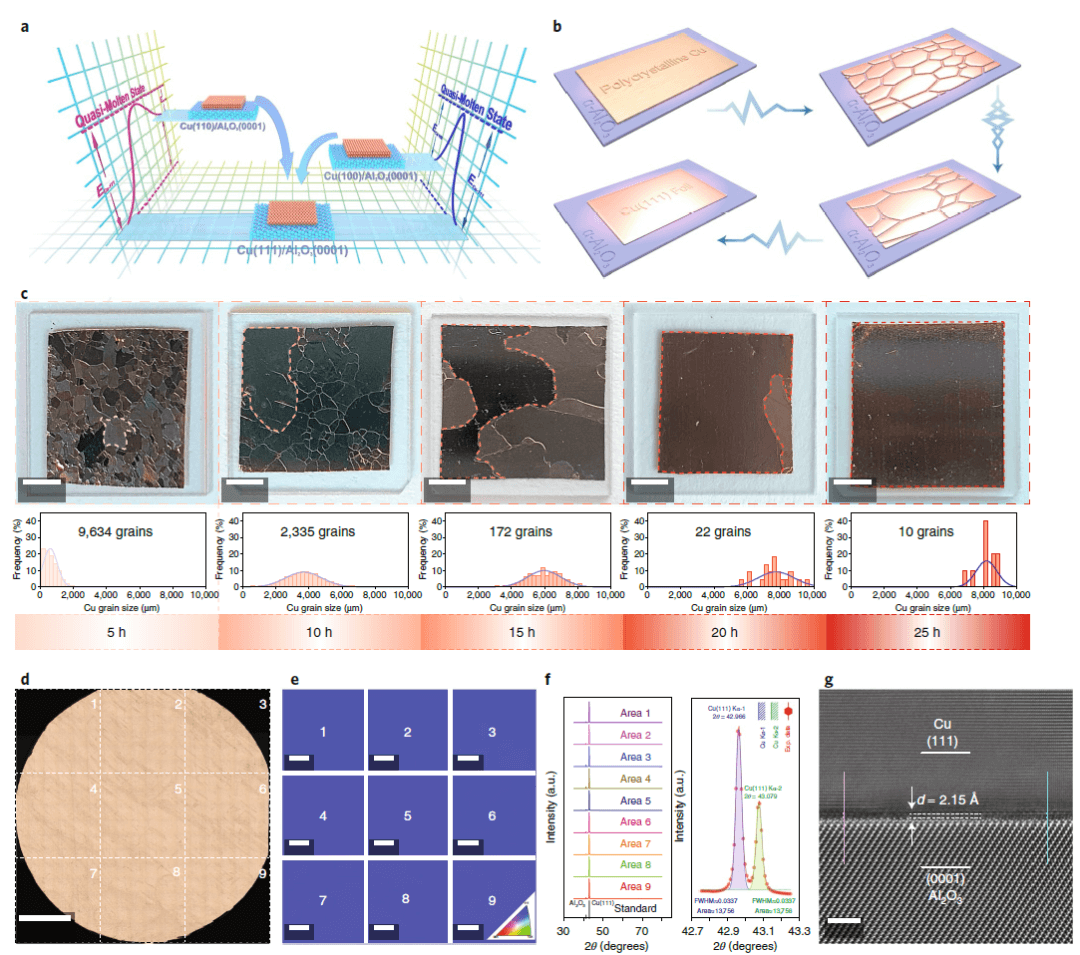 KAUST张西祥、田博《自然·材料》：在蓝宝石衬底上生长的晶圆级单晶单层石墨烯