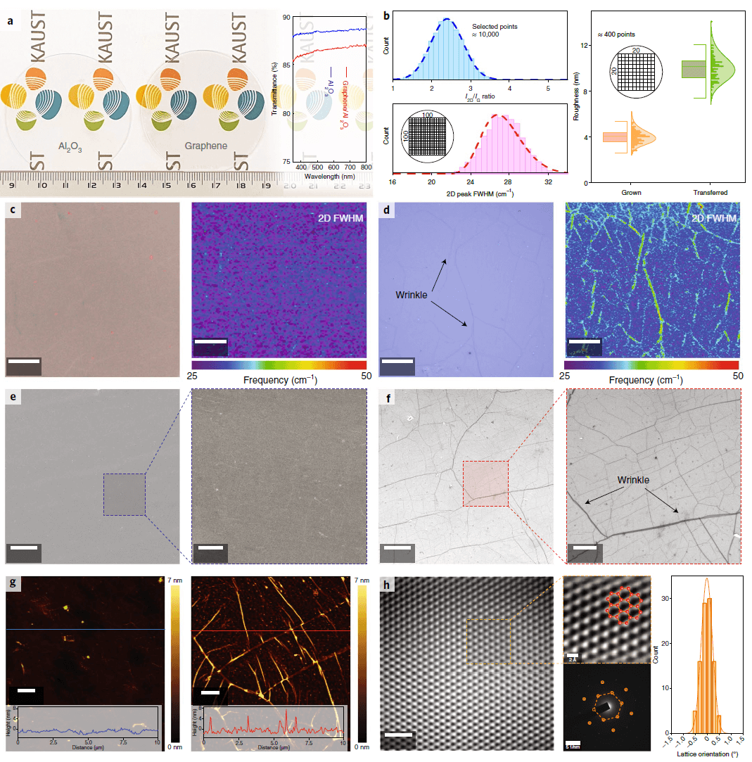 KAUST张西祥、田博《自然·材料》：在蓝宝石衬底上生长的晶圆级单晶单层石墨烯