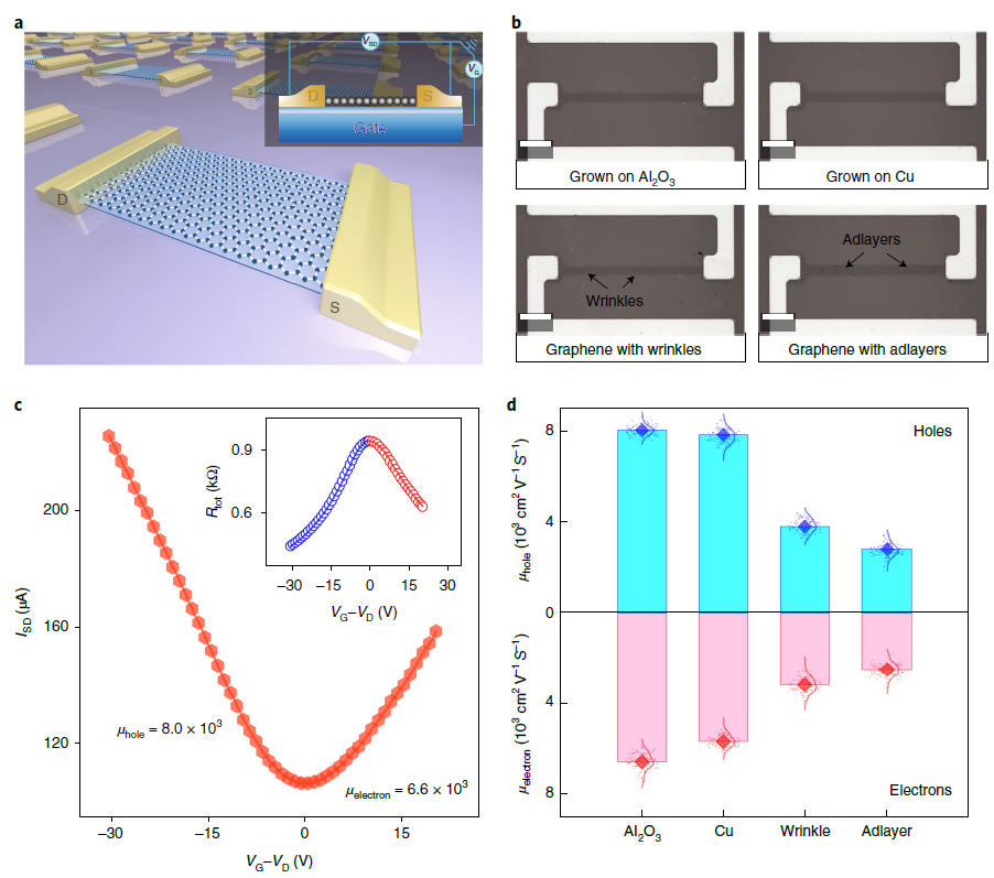 KAUST张西祥、田博《自然·材料》：在蓝宝石衬底上生长的晶圆级单晶单层石墨烯