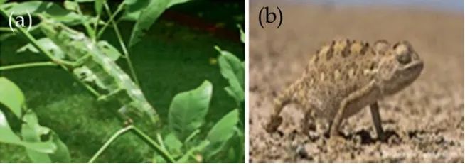 综述 | 石墨烯、碳纳米管等纳米技术如何塑造战争的未来