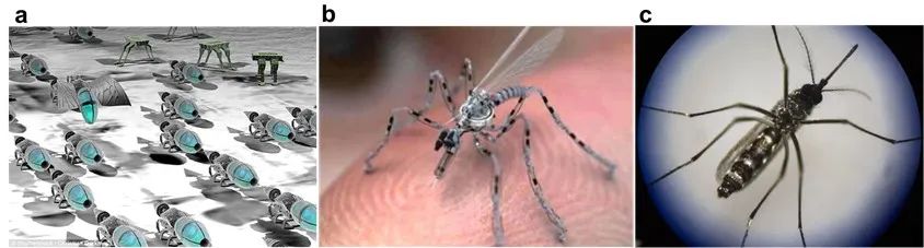 综述 | 石墨烯、碳纳米管等纳米技术如何塑造战争的未来