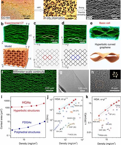 浙大许震《ACS Nano》​多功能导电复合双曲石墨烯气凝胶框架