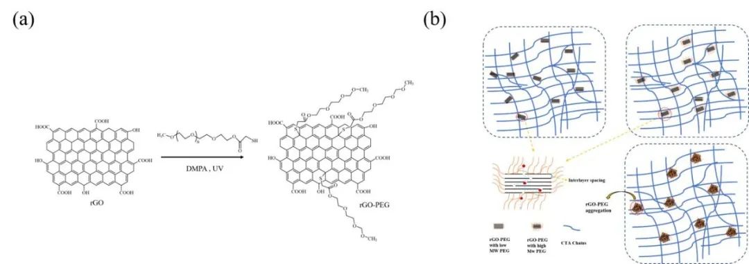 天津工业大学孟建强教授团队 Polymer：PEG修饰石墨烯提高CTA/rGO纳米复合膜的脱盐性能