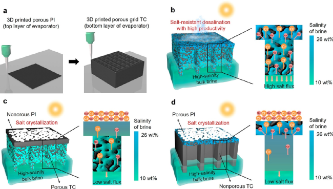 苏州大学江林等今日ACS Nano：3D打印多孔rGO/炭黑，高性能光热海水淡化！