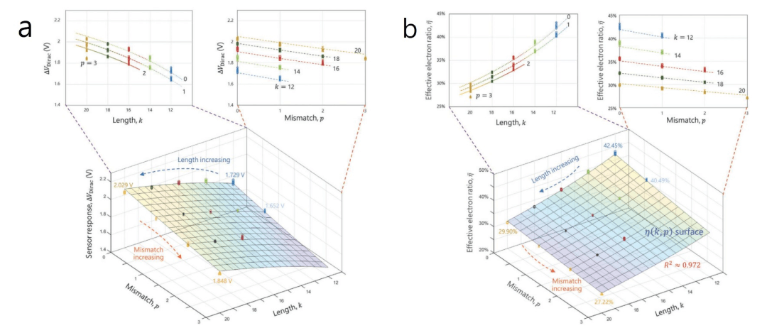 天津师范大学王程/深圳技术大学贾原/海南大学叶巍翔课题组《Small》：石墨烯场效应管观测的核酸双螺旋电容效应与错配影响