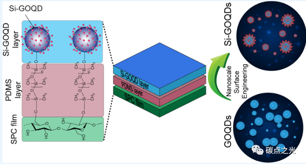 ACS Appl. Mate. Interfaces：硅掺杂氧化石墨烯量子点作为多功能纳米复合材料的高效纳米共轭物