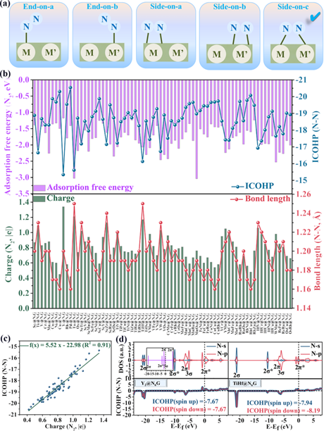 东北师大张珉/朱广山/苏忠民 Adv. Sci.: 石墨烯锚定双金属协同电催化合成尿素的描述符及其范围的初步设立