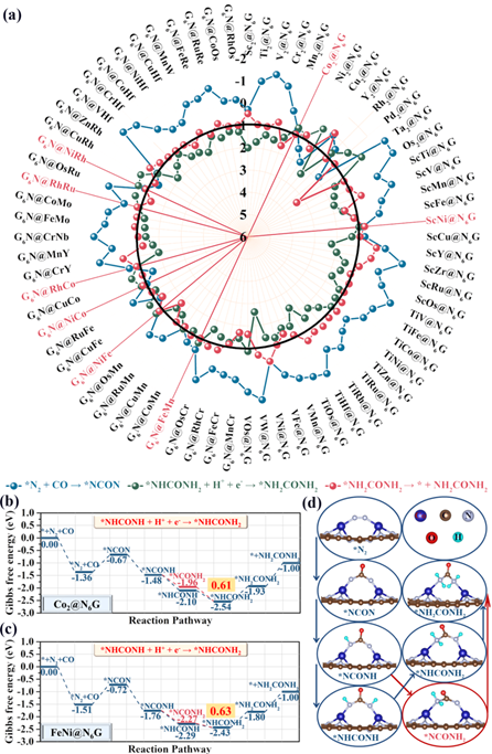 东北师大张珉/朱广山/苏忠民 Adv. Sci.: 石墨烯锚定双金属协同电催化合成尿素的描述符及其范围的初步设立