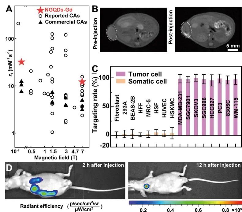 中科院上海微系统所董慧研究员、丁古巧研究员课题组《ACS AMI》：借助石墨烯量子点表面氨基与羧基间协同效应实现造影剂弛豫率提升