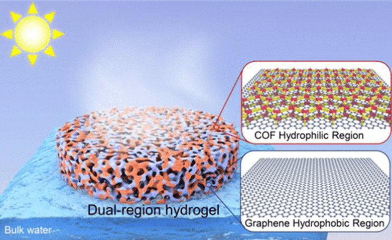 ​虎年第三篇水凝胶《JACS》共价有机框架/石墨烯双区域水凝胶！