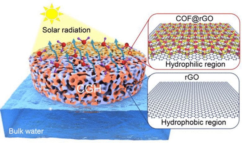 ​虎年第三篇水凝胶《JACS》共价有机框架/石墨烯双区域水凝胶！