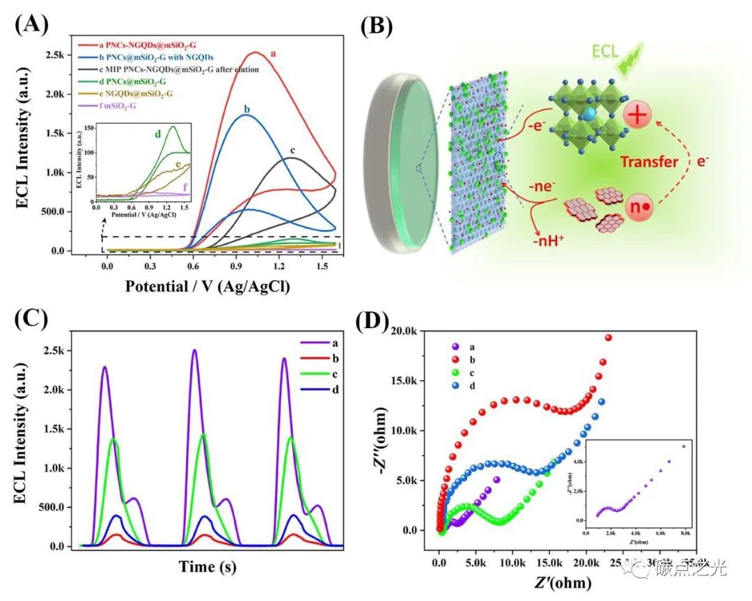 Biosensors & Bioelectronics:二维介孔SiO2限制的 CsPbBr3 纳米晶体和 N 掺杂石墨烯量子点