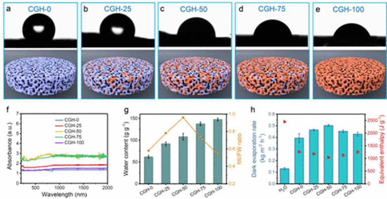 ​虎年第三篇水凝胶《JACS》共价有机框架/石墨烯双区域水凝胶！