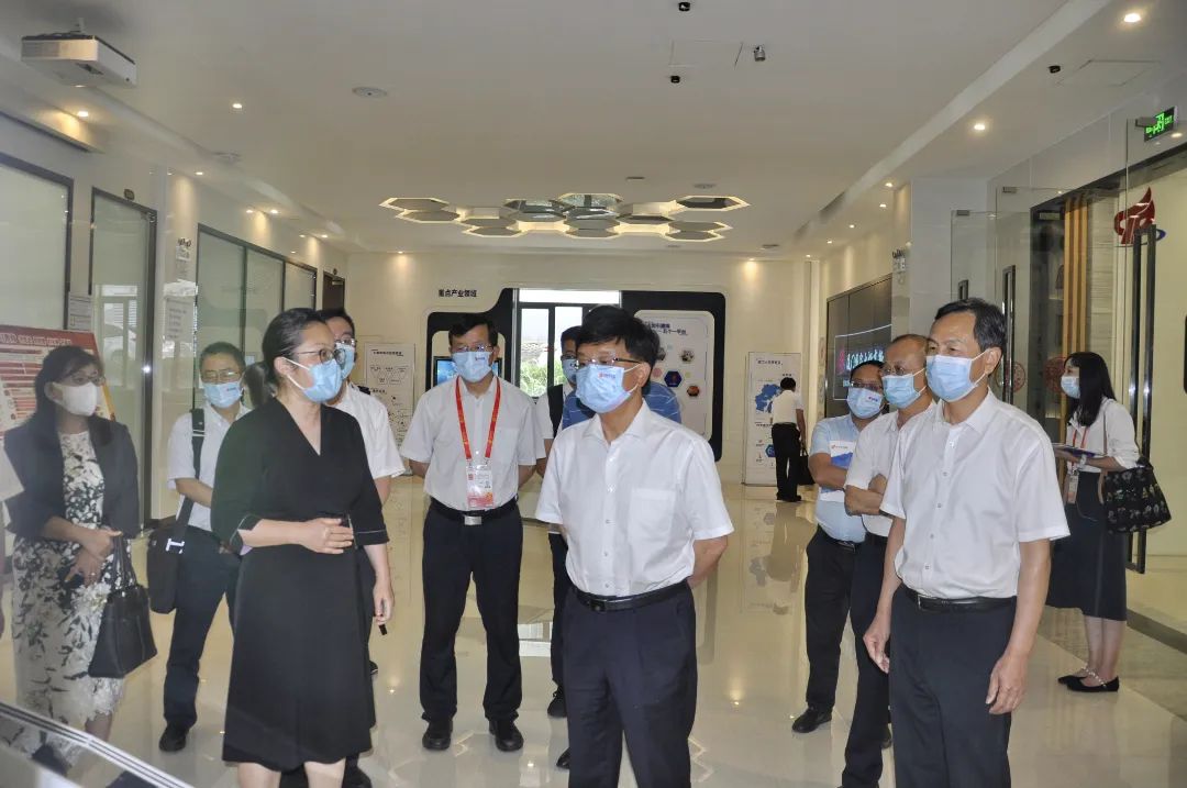 云南省副省长杨斌一行调研火炬石墨烯