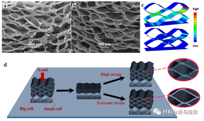 兰州化物所《Carbon》：受深海玻璃海绵骨架启发的超耐用石墨烯气凝胶