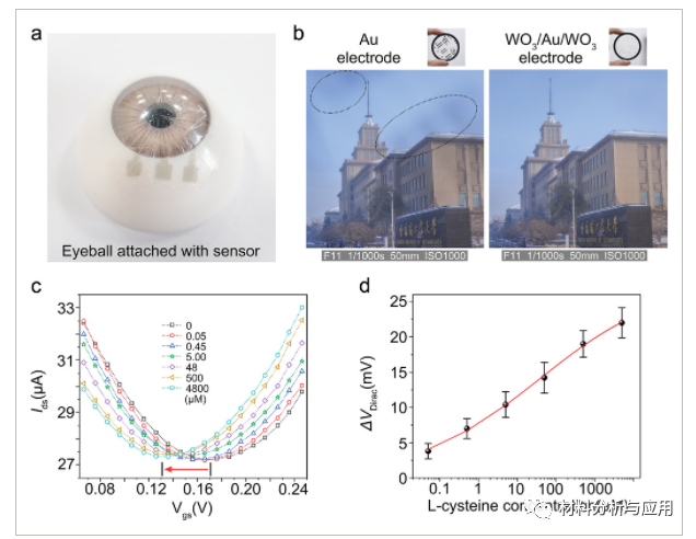 哈工大《AMT》:超柔韧透明石墨烯可穿戴传感器，用于检测体液生物标志物