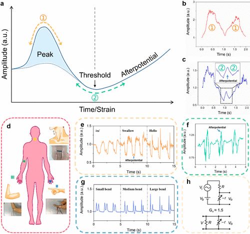 清华任天令《ACS nano》​石墨烯纺织应变传感器