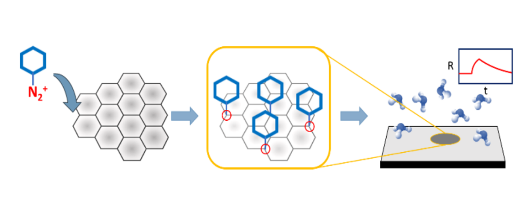 Angew：化学结构修饰石墨烯用于气体传感器