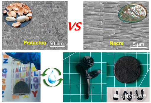 江南大学《ACS Nano》：受开心果启发的块状氧化石墨烯基材料，具有可成形性和可回收性